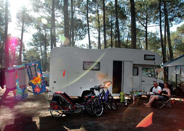 Campingplatz im Pinienwald