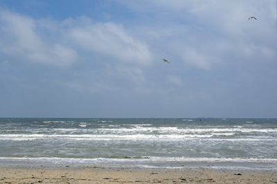 Schöner, ausgesprochen muschelreicher Strand