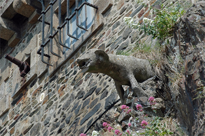 Guck mal da, ein Wasserspeier!