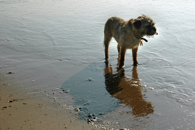 Die s&uuml;&szlig;e Paula