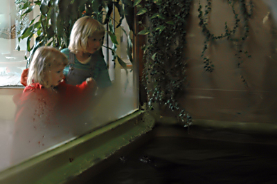 Mattscheibe mal anders