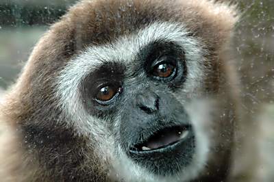 Ein freundlicher kleiner Kerl!