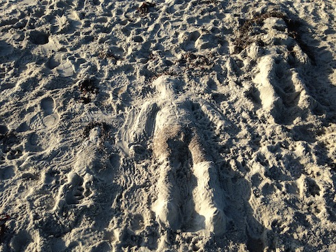 Sandfiguren